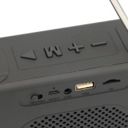 اسپیکربلوتوث تسکو مدل TS 2313