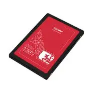 اس اس دی گلووی Fer Series SATA III ظرفیت 120 گیگابایت