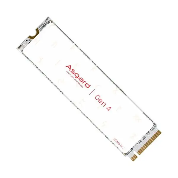 اس اس دی ازگارد AN4 M.2 NVMe PCIe 4.0 ظرفیت 2 ترابایت